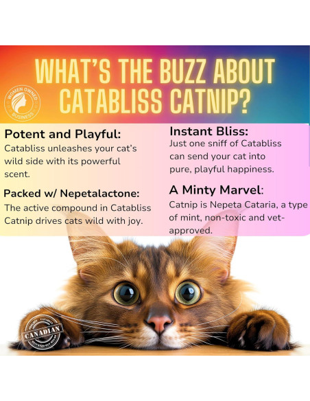 Hierba Gatera Catabliss 28g - Mezcla Natural para Gatos