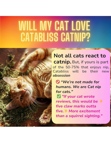 Hierba Gatera Catabliss 28g - Mezcla Natural para Gatos