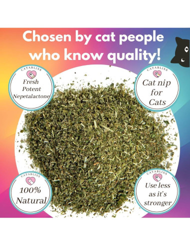 Hierba Gatera Catabliss 28g - Mezcla Natural para Gatos