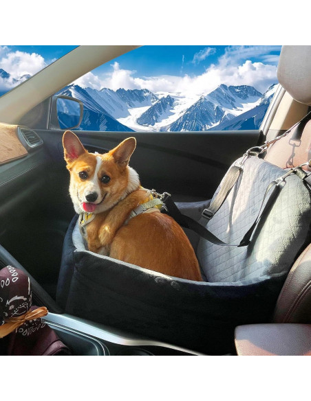 Asiento de perro para coche VERGODPRO 48cm, seguro y cómodo