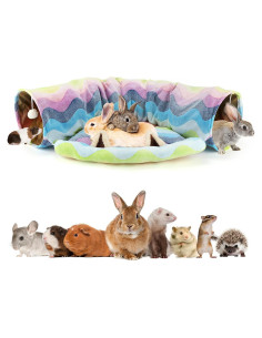 Cama Túnel BWOGUE Arcoíris 2 en 1 para Gatos y Conejos