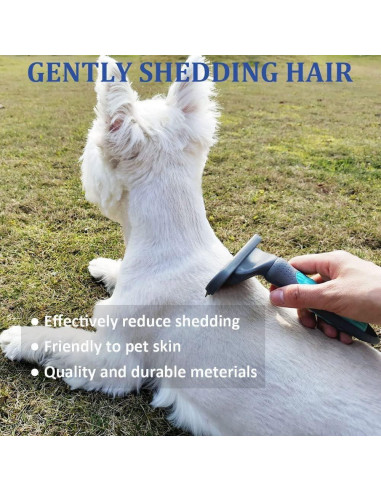 Kit de Aseo para Mascotas Huihe - Cepillo y Guante Doble Cara