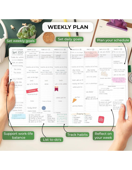 Planificador Semanal Clever Fox PRO A4 Verde Bosque