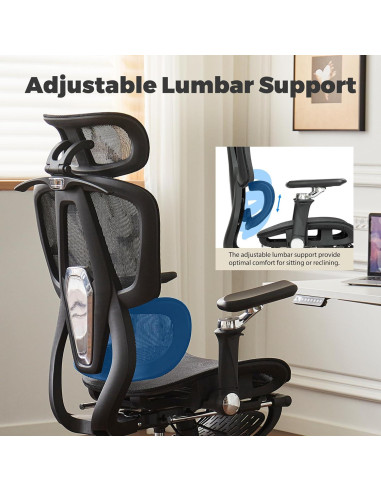 Silla de Oficina Ergonómica Hujusko 900PRO Malla Ajustable