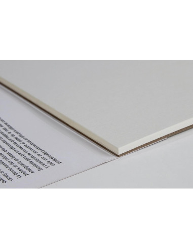 Bloc de Bristol Reciclado Canson XL 11x14" 25 Hojas