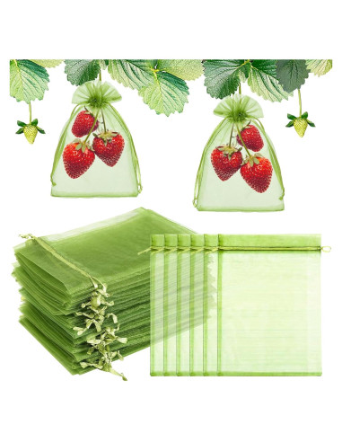 50 Bolsas de Protección de Frutas FloraSea 10x15 cm Verde