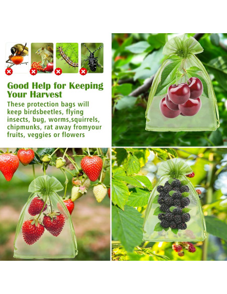 50 Bolsas de Protección de Frutas FloraSea 10x15 cm Verde
