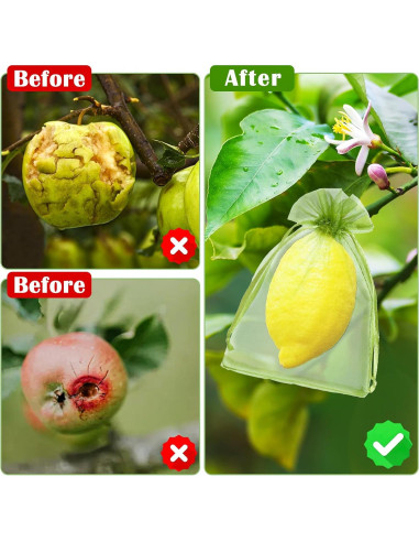 50 Bolsas de Protección de Frutas FloraSea 10x15 cm Verde