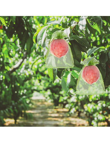 50 Bolsas de Protección de Frutas FloraSea 10x15 cm Verde