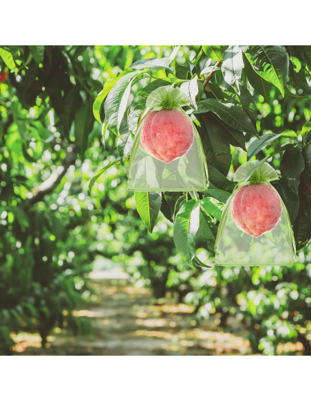 50 Bolsas de Protección de Frutas FloraSea 10x15 cm Verde