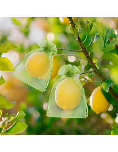 50 Bolsas de Protección de Frutas FloraSea 10x15 cm Verde