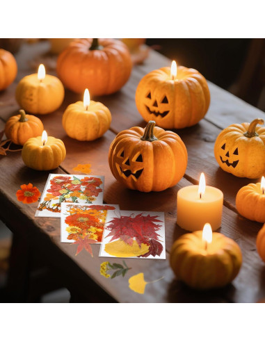 Kit de Moldes de Silicona Janinka para Velas Otoño 108 Pcs