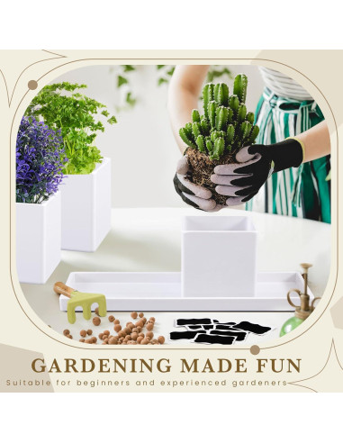 Juego de 6 Macetas de Hierbas RimCereal con Drenaje Blanco