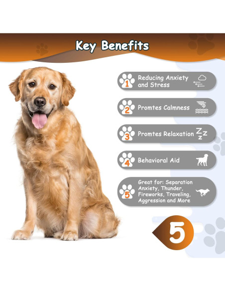 Juguete de Peluche con Latido Moropaky para Perros 22.8x21.9cm Juguete de Peluche con Latido Moropaky para Perros 22.8x21.9cm