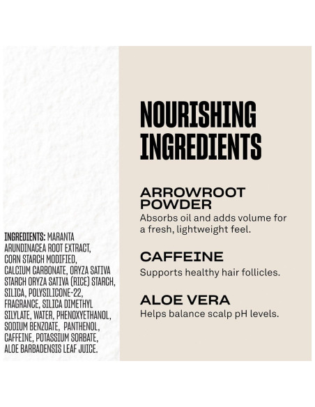 Champú Seco en Polvo BABE ORIGINAL Root Refresh 100g