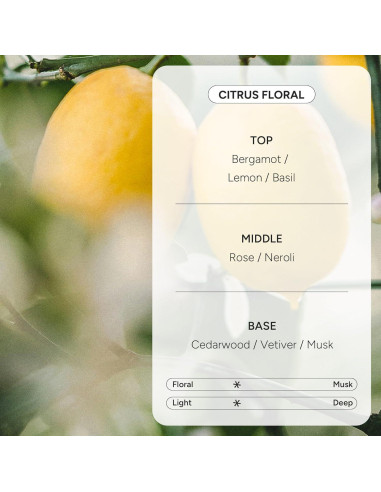 Gel de Ducha Coreano 500ml - Hidratante Ácido Hialurónico y Aloe