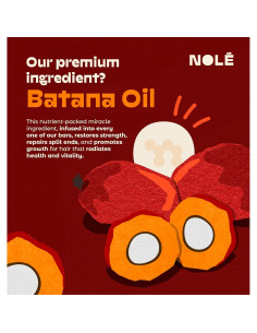 Champú y Acondicionador en Barra NOLE CARE Manzanilla 145 g 2