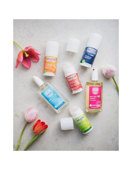 Desodorante Roll-On 24H Weleda para Hombres 50ml Sin Aluminio