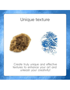 Esponjas Marinas Naturales Naroa 2 Paquete para Pintura 2