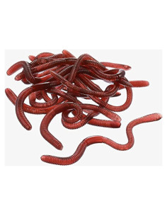 16 Piezas Gusanitos Falsos Gejoy de Goma Realista para Bromas