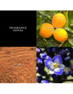 Colonia para hombres John Varvatos Artisan 124 ml EDT 2