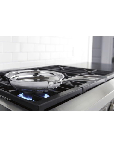 Sartén Profesional de Acero Inoxidable Cuisinart 10"
