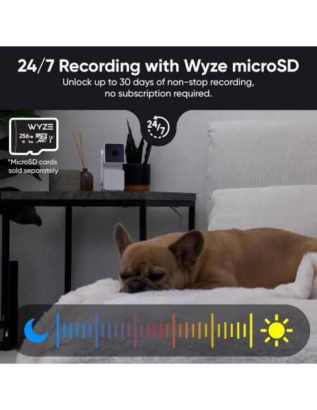 Paquete Cámara de Seguridad Wyze Cam Pan v3 + Adaptador + 128GB Paquete Cámara de Seguridad Wyze Cam Pan v3 + Adaptador + 128GB