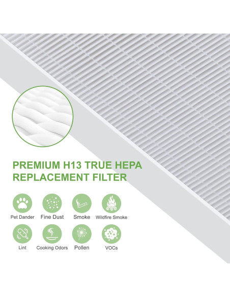 Filtro HEPA y Carbón Activado Outbeg R3 para HPA300