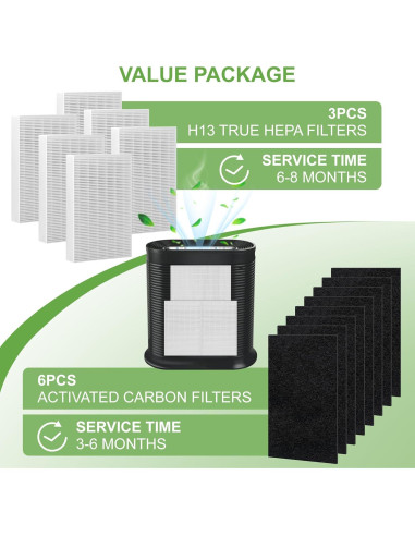 Filtro HEPA y Carbón Activado Outbeg R3 para HPA300