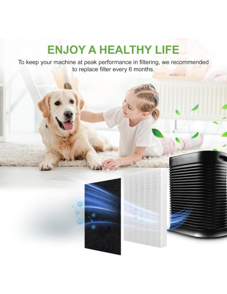 Filtro HEPA y Carbón Activado Outbeg R3 para HPA300