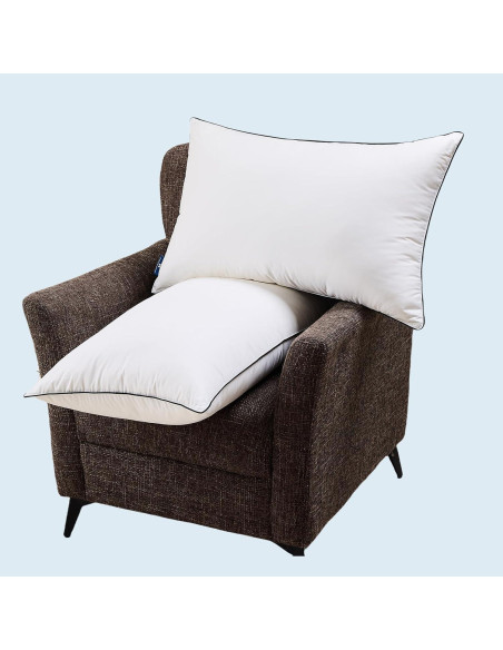 Juego de 2 almohadas de plumas Mosluna tamaño Queen