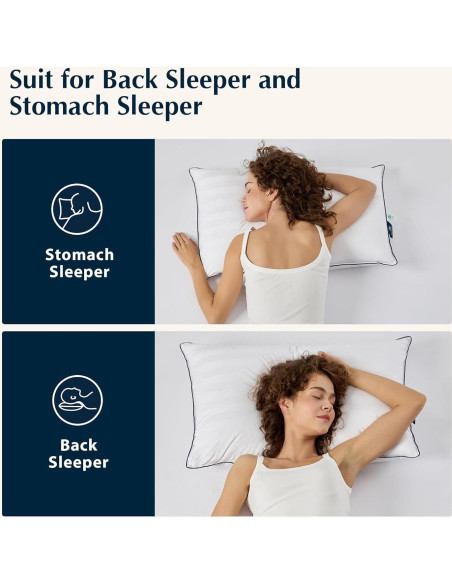 Almohada de Plumas de Ganso Pacific Coast Queen 700 Relleno Almohada de Plumas de Ganso Pacific Coast Queen 700 Relleno