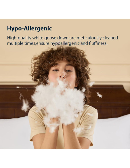 Almohada de Plumas de Ganso Pacific Coast Queen 700 Relleno Almohada de Plumas de Ganso Pacific Coast Queen 700 Relleno