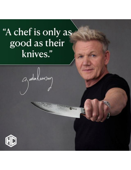 Juego de cuchillos HexClad 6 piezas acero japonés Damascus