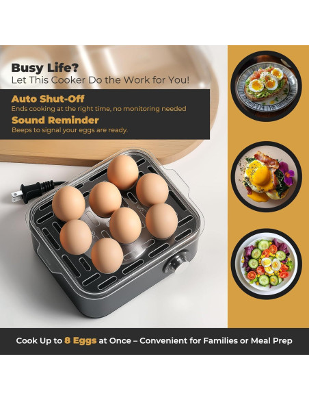 Hervidor de Huevos Eléctrico Annie & Mia, Acero Inoxidable, 8 Huevos