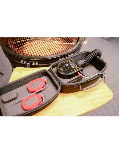 Controlador de Temperatura BBQube TempMaster 12V con Ventilador