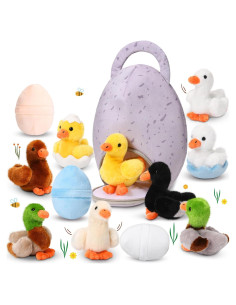 Conjunto de 13 Piezas de Peluche Patitos HyDren para Niños