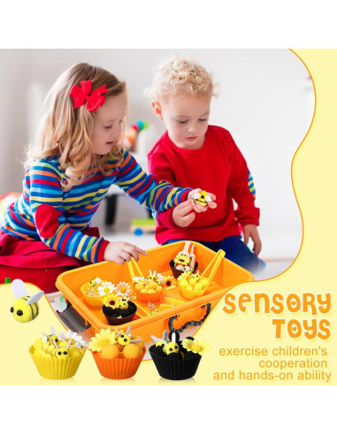 Caja Sensorial de Abeja Seenelling 38x25x8.5cm Juguete Educativo