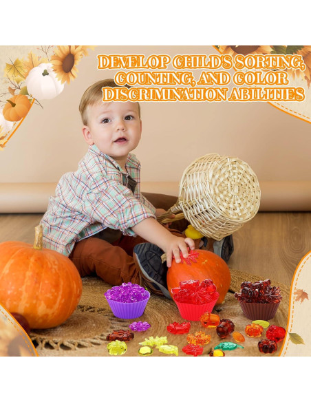 Hotop Bin Sensorial Otoño 214 Piezas Juguete Motricidad Fina