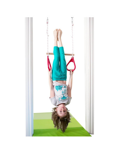Columpio de Puerta DreamGYM con Barra de Trapecio y Anillos Rojos