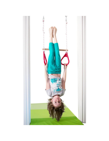 Columpio de Puerta DreamGYM con Barra de Trapecio y Anillos Rojos