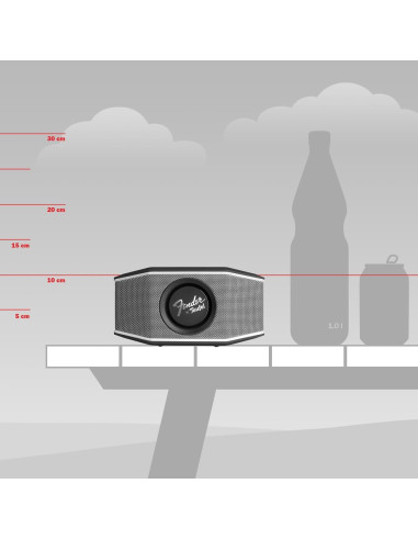 Altavoz Bluetooth Fender x Teufel ROCKSTER GO 2 - Impermeable, 28h Batería