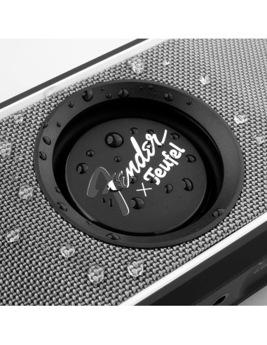Altavoz Bluetooth Fender x Teufel ROCKSTER GO 2 - Impermeable, 28h Batería