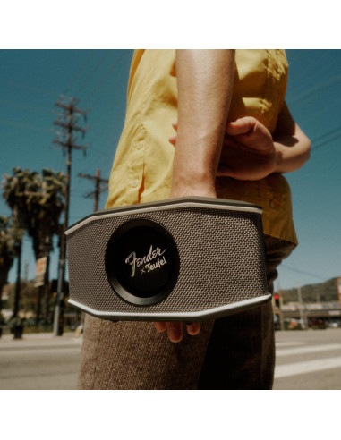 Altavoz Bluetooth Fender x Teufel ROCKSTER GO 2 - Impermeable, 28h Batería