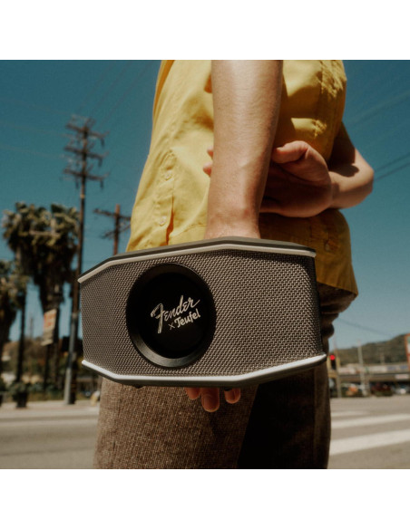 Altavoz Bluetooth Fender x Teufel ROCKSTER GO 2 - Impermeable, 28h Batería