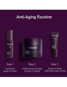 Crema Hidratante Anti-Envejecimiento Caudalie Premier Cru 50 mL 2