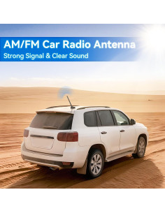 Antena de Radio Universal Eightwood para Automóvil FM AM 7dBi 2