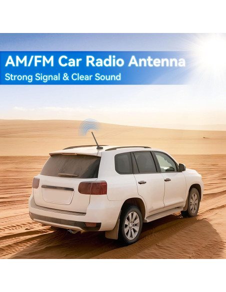 Antena de Radio Universal Eightwood para Automóvil FM AM 7dBi