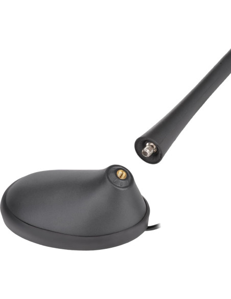 Antena de Radio Universal Eightwood para Automóvil FM AM 7dBi