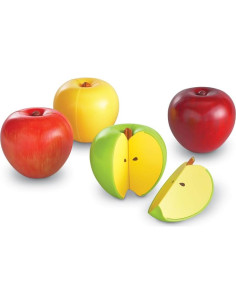 Set de Fracciones Magnéticas Recursos de Aprendizaje 10 Piezas 2